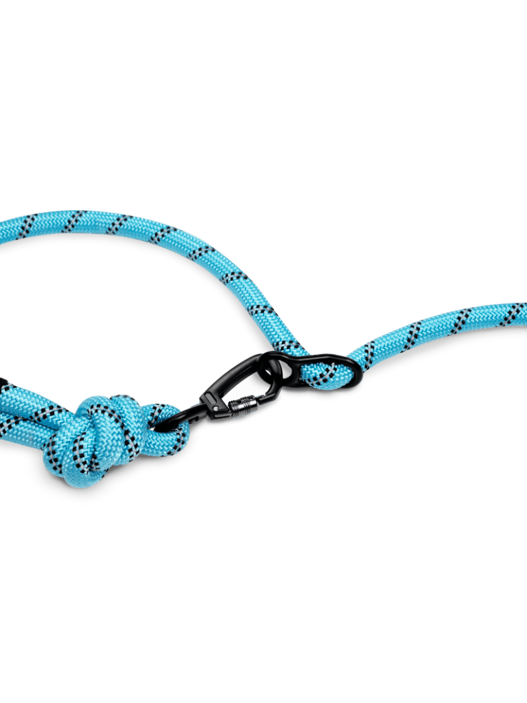 Aqua Blue Running Hands-Free Dog Leash - Runner's Athletics