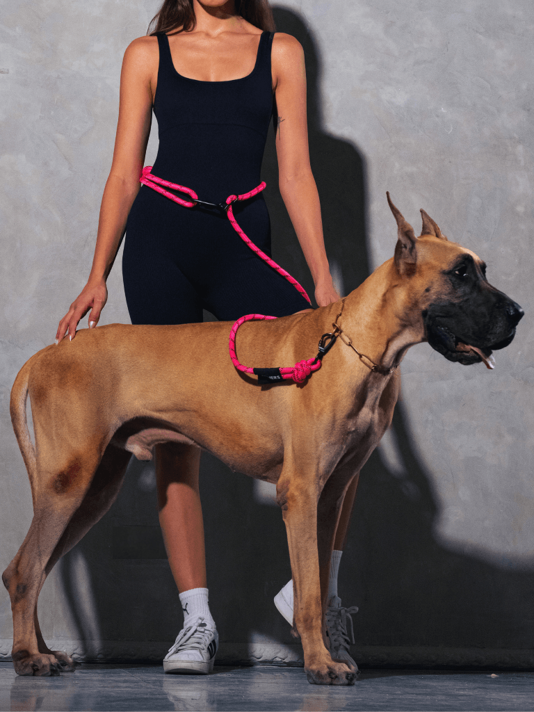 Retro Pink Running Hands-Free Dog Leash - Runner's Athletics