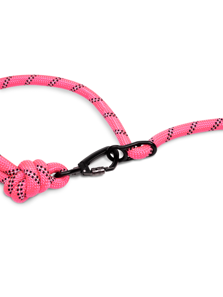 Retro Pink Running Hands-Free Dog Leash - Runner's Athletics